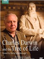 达尔文和生命之树在线观看