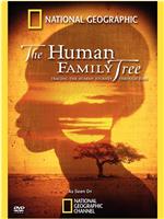 2009年国家地理杂志专题 人类基因树在线观看