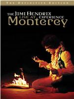 The Jimi Hendrix Experience: Live at Monterey