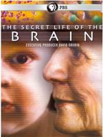 The Secret Life of the Brain在线观看