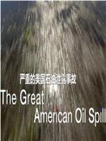 美国石油大泄漏