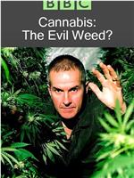 BBC 地平线系列：大麻：罪恶之种？