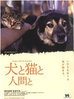 狗和猫和人在线观看