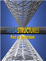 伟大工程巡礼：鹿特丹港在线观看