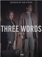 "The X Files" 8.16 Three Words在线观看