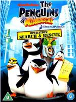 马达加斯加的企鹅  第二季在线观看