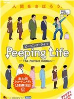 窥探人生在线观看