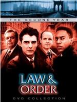 法律与秩序 第二季在线观看