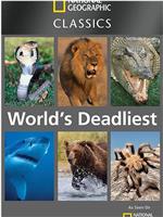 世界致命动物系列：中美洲篇在线观看