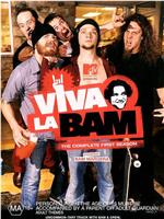 VIVA LA BAM