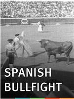 西班牙斗牛士在线观看