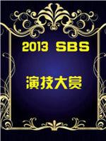 SBS演技大赏