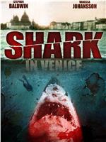 威尼斯之鲨在线观看