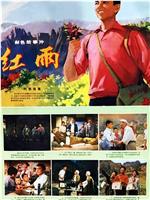 红雨在线观看