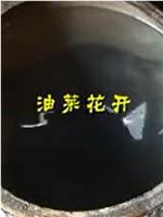 油菜花开在线观看