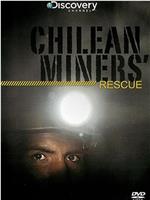 拯救智利矿工在线观看