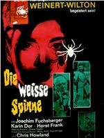 Die weiße Spinne