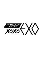火热的瞬间XOXO EXO在线观看