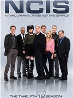海军罪案调查处 第十二季在线观看