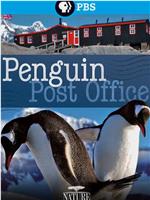 自然世界：企鹅邮局