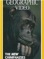 [国家地理杂志，顶级野生动物电影集05] 黑猩猩在线观看