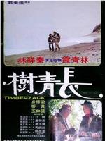长青树在线观看