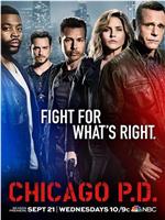 芝加哥警署 第四季在线观看