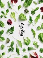 爱上川菜爱上四川