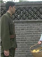 侬本痴情