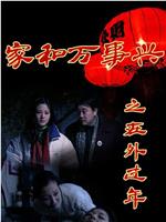 家和万事兴之在外过年在线观看
