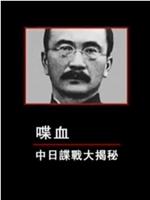 喋血：中日谍战大揭秘在线观看