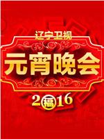 2016辽宁卫视元宵晚会在线观看