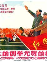 光辉的榜样 伟大的创举——毛主席第八次检阅文化革命大军