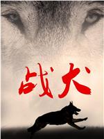 战犬