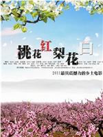 桃花红 梨花白在线观看