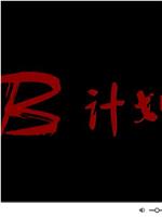 B计划