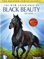 The New Adventures of Black Beauty在线观看