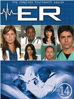 急诊室的故事 第十四季在线观看
