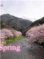 骑行日本：春游伊豆半岛在线观看