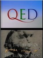 Q.E.D. - The True Story of the Elephant Man在线观看