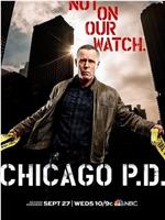 芝加哥警署 第五季在线观看