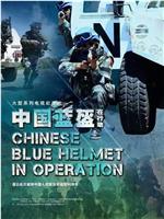 中国蓝盔在行动在线观看