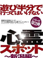 遊び半分で行ってはいけない心霊スポット～新潟編～在线观看