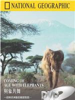 国家地理百年纪念典藏：与象共舞在线观看