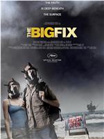 The Big Fix在线观看