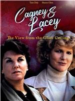 Cagney &amp; Lacey: The View Through the Glass Ceiling在线观看