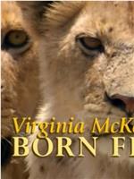 弗吉尼亚·麦肯娜回顾《生来自由》