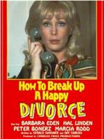 How to Break Up a Happy Divorce在线观看