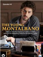 年轻蒙塔尔巴诺 第二季在线观看