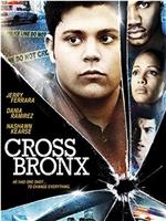 Cross Bronx在线观看